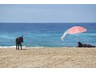 fuerteventura_ (19)