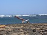 watersports_ (7)